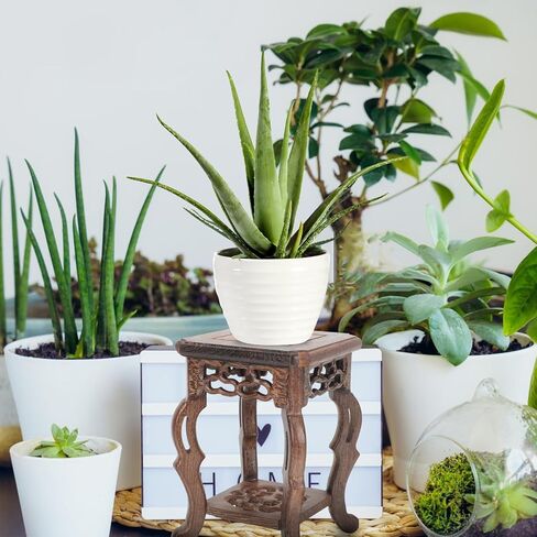 Oriental Plant Stand:Cabilock Wooden Plant Stand Indoor Outdoor Vintage Display Base Flower Pot Holder Buddha Statue Jewelry Figurine Riser Platform for Multiple Plants Corner Tall Flower Holders in Saudi Arabia