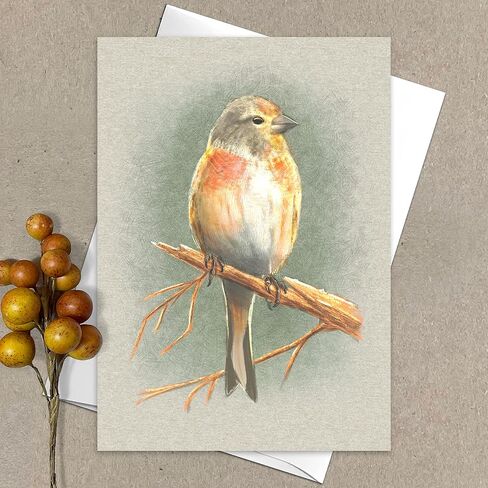 Illustrated Wild Birds All Occasion Greeting Cards, Handmade Note Card, 6 Pack, 5x7 inches, Blank Inside, with Envelopes, for birthdays, thank you notes, and more in Saudi Arabia