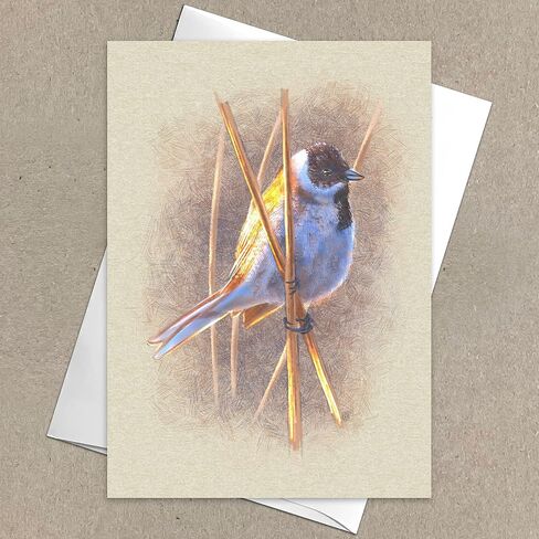 Illustrated Wild Birds All Occasion Greeting Cards, Handmade Note Card, 6 Pack, 5x7 inches, Blank Inside, with Envelopes, for birthdays, thank you notes, and more in Saudi Arabia