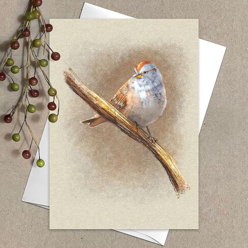 Illustrated Wild Birds All Occasion Greeting Cards, Handmade Note Card, 6 Pack, 5x7 inches, Blank Inside, with Envelopes, for birthdays, thank you notes, and more in Saudi Arabia