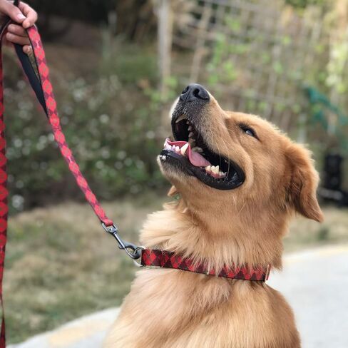 Hyhug Pets 6 Feet Adjustable Long Dog Leash, Soft and Colorfast Webbing Lead for Pup Dogs Professional Training and Daily Use Walking. (Small, Camo Green) in Saudi Arabia