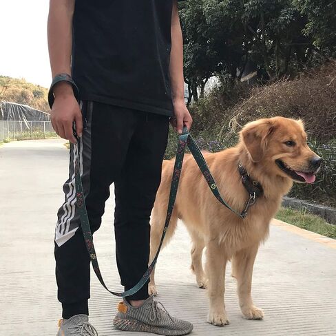 Hyhug Pets 6 Feet Adjustable Long Dog Leash, Soft and Colorfast Webbing Lead for Pup Dogs Professional Training and Daily Use Walking. (Small, Camo Green) in Saudi Arabia