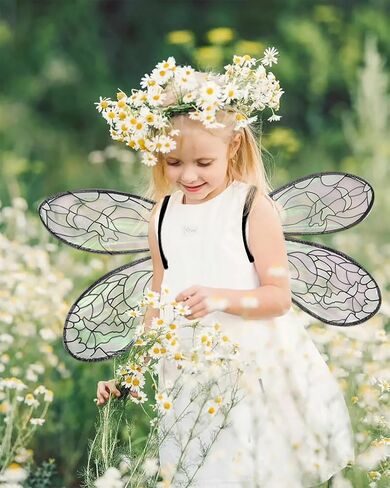 Hying Festival Costume Wings Sparkle Adult Fairy Wings Princess Angel Wing Dragonfly Wings Dress Up Accessories for Women in Saudi Arabia