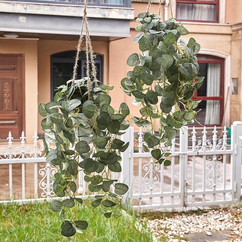 بارتي جوي قطعتان من النباتات المزيفة المعلقة مع سلتين، نباتات صناعية معلقة مزيفة من الأوكالبتوس لغرفة الحائط وفناء المنزل وديكور داخلي وخارجي in Kuwait