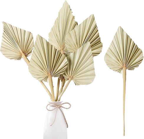 Sggvecsy Boho Dried Palm Leaves 20 Pieces 14.2’’ Natural Dried Palm Spears Small Dried Palm Fans for Flower Bouquet Boho Wedding Home Party Kitchen Vase Farmhouse Table Arrangements Anniversary Decor in Saudi Arabia
