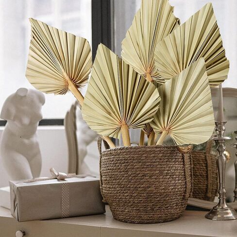 Sggvecsy Boho Dried Palm Leaves 20 Pieces 14.2’’ Natural Dried Palm Spears Small Dried Palm Fans for Flower Bouquet Boho Wedding Home Party Kitchen Vase Farmhouse Table Arrangements Anniversary Decor in Saudi Arabia