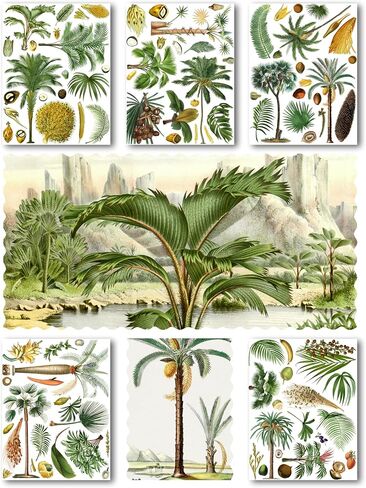 حزمة ورق Decoupage (15 ورقة مقاس 8 × 11 بوصة) وأشجار النخيل ونقش الكتب النباتية العتيقة وصور HANATABA العتيقة للأشياء الزائلة لحرف Decoupage وScrapbooking in Saudi Arabia