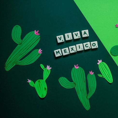 24 Pack Green Cardstock 8.5 x 11 inches Green Construction Paper, Thick Paper Cover Card Stock for DIY Crafts Supplies (Dark Green) in Kuwait