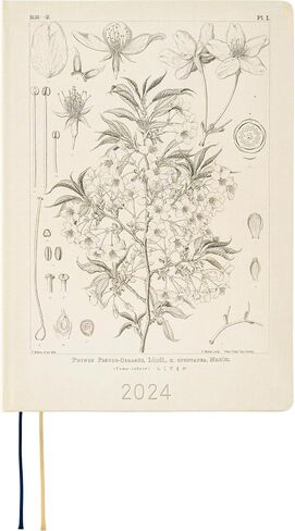 Hobonichi Techo HON A5 [English/A5 Size/January 2024 Start] Tomitaro Makino: Yamazakura in Saudi Arabia