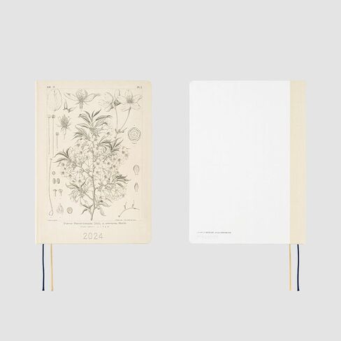 Hobonichi Techo HON A5 [English/A5 Size/January 2024 Start] Tomitaro Makino: Yamazakura in Saudi Arabia