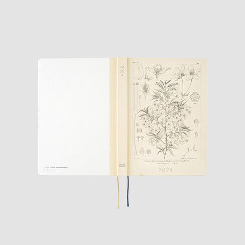 Hobonichi Techo HON A5 [English/A5 Size/January 2024 Start] Tomitaro Makino: Yamazakura in Saudi Arabia
