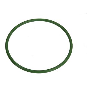 17342-EA000 Fuel Pump Tank Seal