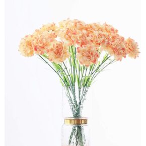 Leoyoubei 20 inch Bouquets 10 Stem Carnations,Outdoor UV Resistant No Fade Artificial Flower,Carnation Silk Petals Fake Flowers Forever Plants for Home Party and Wedding Decor (Champagne)