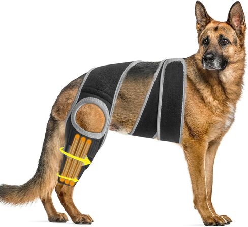 Dog ACL Knee Leg Brace, Dog Hip Brace for Front Torn and Back ACL Hind Rear Legs, Comfortable & Adjustable Tailwind Dog Hip Dysplasia Brace for Dog Arthritis, Luxating Patella with 10X Support (L) in Saudi Arabia