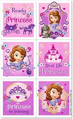 Sofia the First Princess Birthday Party Supplies Bundle Pack includes Lunch Plates, Lunch Napkins, Table Cover, Centerpiece, Invitations and Thank You Notes, Stickers (Bundle for 16) in Saudi Arabia