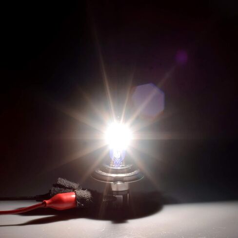 WinPower H4 60W 55W مصباح هالوجين عالي السطوع 9003 HB2 بديل ضوء الدراجة النارية 5500K، حزمة من 2 in Kuwait