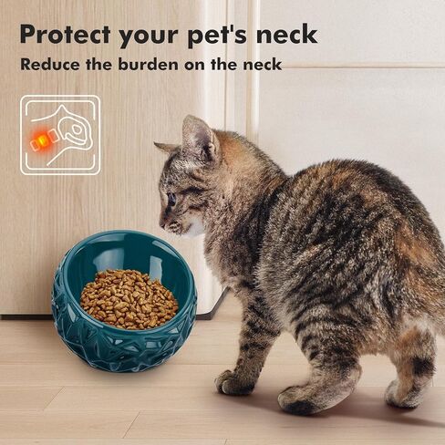 Raised Cat Food Bowl，Tilted Elevated Cat Bowls Anti-Vomiting, Ceramic Cat Dishes for Protecting Pet’s Spine, Backflow Prevention, Indoor Cats and Small Size Dogs, Dark Green, Stress Free… in Saudi Arabia