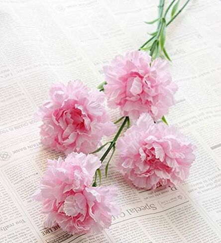 Leoyoubei 20 inch Bouquets 10 Stem Carnations,Outdoor UV Resistant No Fade Artificial Flower,Carnation Silk Petals Fake Flowers Forever Plants for Home Party and Wedding Decor (Champagne) in Saudi Arabia
