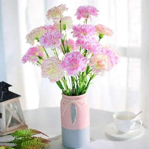 Leoyoubei 20 inch Bouquets 10 Stem Carnations,Outdoor UV Resistant No Fade Artificial Flower,Carnation Silk Petals Fake Flowers Forever Plants for Home Party and Wedding Decor (Champagne) in Saudi Arabia