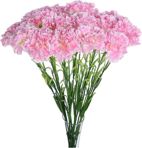 Leoyoubei 20 inch Bouquets 10 Stem Carnations,Outdoor UV Resistant No Fade Artificial Flower,Carnation Silk Petals Fake Flowers Forever Plants for Home Party and Wedding Decor (Champagne) in Saudi Arabia