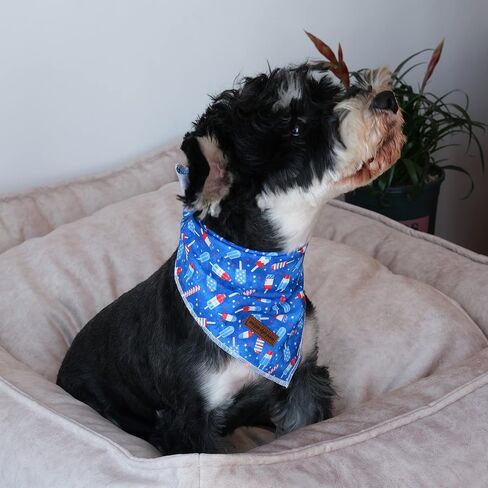 Unique style paws Independence Day Flag Dog Collar, Best for Small Medium Large Boys Girls Dogs in Saudi Arabia