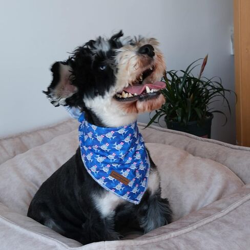 Unique style paws Independence Day Flag Dog Collar, Best for Small Medium Large Boys Girls Dogs in Kuwait