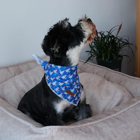 Unique style paws Independence Day Flag Dog Collar, Best for Small Medium Large Boys Girls Dogs in Kuwait