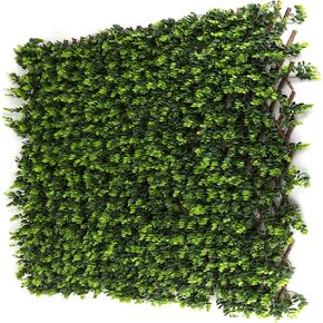 3rd Street Inn™ Leaf Trellis - لوحة خضرة من الخيزران - بديل سياج الخصوصية من خشب البقس واللبلاب - سياج مرن يمكنك صنعه بنفسك (1، White Rose Rattan)