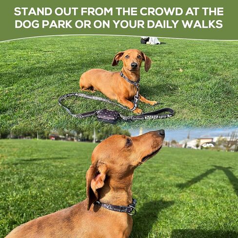 Dachshund Leash Collar Set - with Accessory Bag 4.3ft Anti-Twist Dog Lead with Neoprene Padded Handle for Easy Comfortable Grip – Gift for Dachshund Owners - 3/4 x 51 inch in Saudi Arabia
