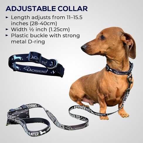 Dachshund Leash Collar Set - with Accessory Bag 4.3ft Anti-Twist Dog Lead with Neoprene Padded Handle for Easy Comfortable Grip – Gift for Dachshund Owners - 3/4 x 51 inch in Saudi Arabia
