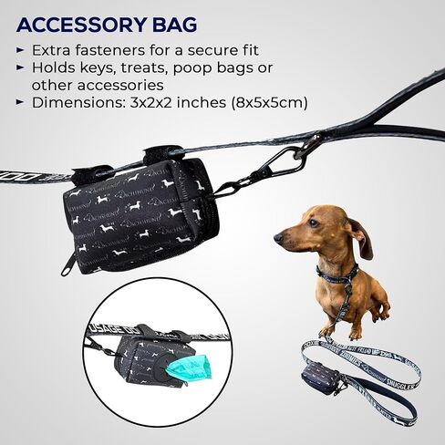 Dachshund Leash Collar Set - with Accessory Bag 4.3ft Anti-Twist Dog Lead with Neoprene Padded Handle for Easy Comfortable Grip – Gift for Dachshund Owners - 3/4 x 51 inch in Saudi Arabia