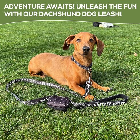 Dachshund Leash Collar Set - with Accessory Bag 4.3ft Anti-Twist Dog Lead with Neoprene Padded Handle for Easy Comfortable Grip – Gift for Dachshund Owners - 3/4 x 51 inch in Saudi Arabia