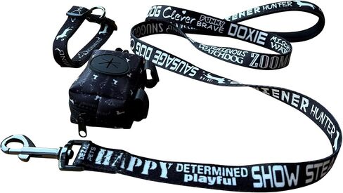 Dachshund Leash Collar Set - with Accessory Bag 4.3ft Anti-Twist Dog Lead with Neoprene Padded Handle for Easy Comfortable Grip – Gift for Dachshund Owners - 3/4 x 51 inch in Saudi Arabia