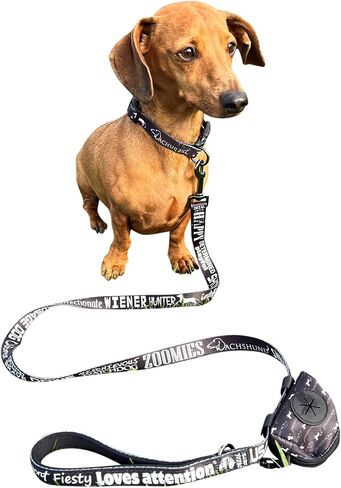 Dachshund Leash Collar Set - with Accessory Bag 4.3ft Anti-Twist Dog Lead with Neoprene Padded Handle for Easy Comfortable Grip – Gift for Dachshund Owners - 3/4 x 51 inch in Saudi Arabia