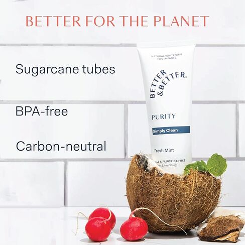 Better & Better Purity Toothpaste | Fluoride Free, SLS Free Toothpaste for Sensitive Brushers | 1 CT Mini Tube | Fresh Breath with Organic Mints | Natural, Vegan, Whitening Toothpaste to Remove Plaque in Kuwait