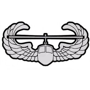 Army Air Assault Decal Sticker