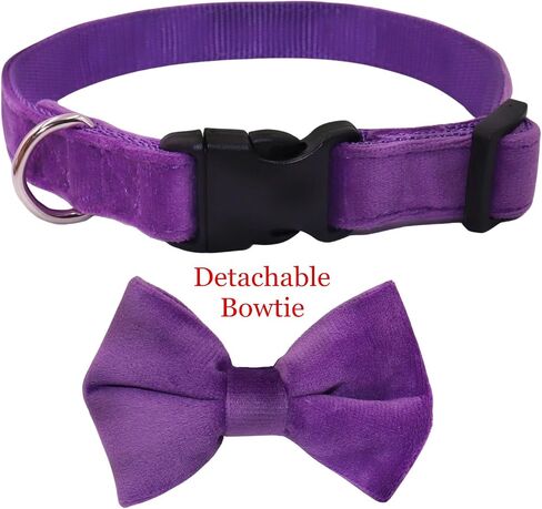 Dog Collar with Bowtie Soft Velvet Material with Quick Release Buckle for small dogs (Black, S) in Saudi Arabia