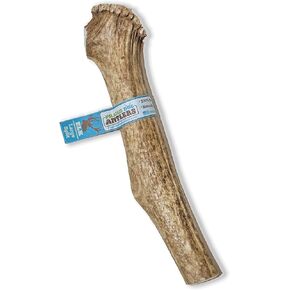 Prairie Dog | Elk Antler Chew | Naturally Shed - Hand Harvested in North America | X-Large | Split