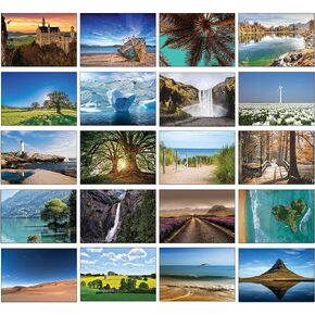 20 Blank Greeting Cards with Nature and Natural Themed Photos with Envelopes! (Wonderful Animals)