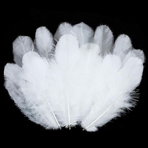 800Pcs White Craft Rooster Feathers 3-5 inch Bulk Feathers for Crafting Kindergarten DIY Crafts, Wedding, Family Party Decorations, Dream Catcher Supplies, Natural Feathers in Kuwait