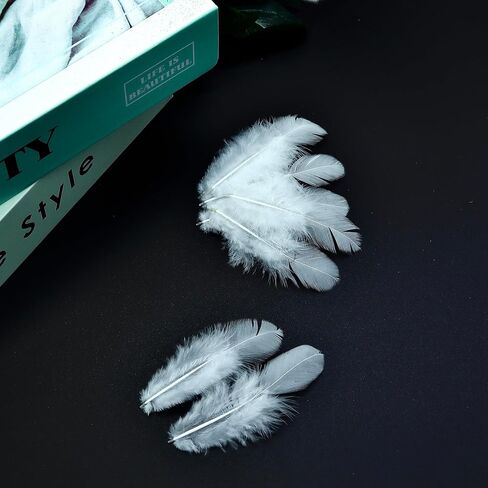 800Pcs White Craft Rooster Feathers 3-5 inch Bulk Feathers for Crafting Kindergarten DIY Crafts, Wedding, Family Party Decorations, Dream Catcher Supplies, Natural Feathers in Kuwait