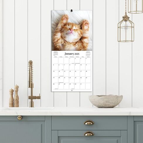 TURNER PHOTOGRAPHIC Bible Verses Photo Mini Wall Calendar (25998950001) in Saudi Arabia