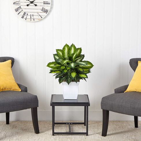 Nearly Natural 2ft. Golden Dieffenbachia Artificial Plant in White Metal Planter in Saudi Arabia