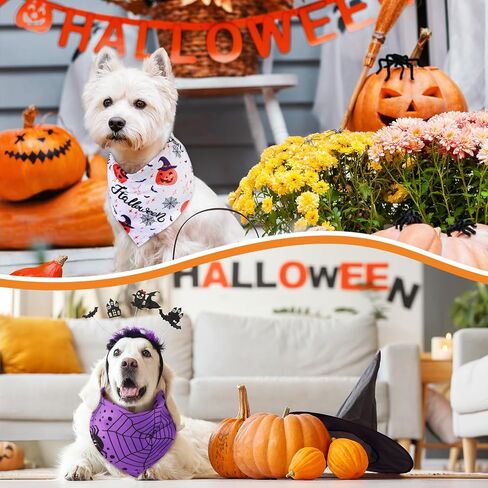 Sanwuta 240 Pcs Holiday Dog Bandanas Halloween Dog Bandanas Thanksgiving Christmas Dog Bandanas for Dog Scarf Bibs Dog Kerchief Set Dog Bandanas for Halloween Thanksgiving Christmas Pet Costume in Saudi Arabia