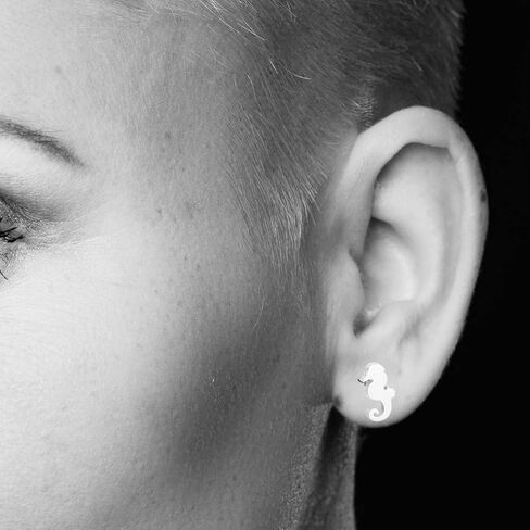 أقراط فرس البحر اللذيذة مكونة من زوجين من أقراط الحياة البحرية من الفولاذ المقاوم للصدأ للنساء والفتيات in Kuwait