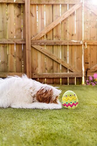 Midlee Easter Egg Dog Toy, Small (Green) in Saudi Arabia