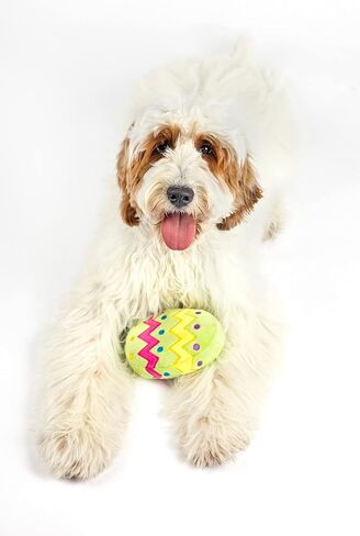 Midlee Easter Egg Dog Toy, Small (Green) in Saudi Arabia