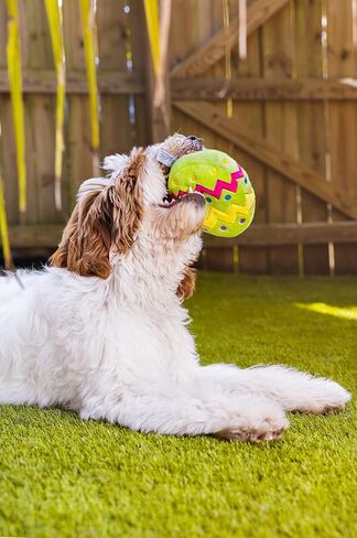 Midlee Easter Egg Dog Toy, Small (Green) in Saudi Arabia
