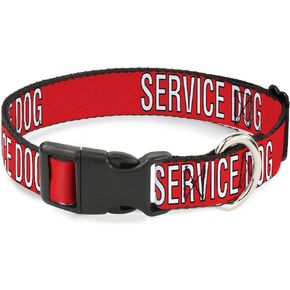 Buckle-Down Pet Collar, Dog Collar Plastic Buckle, Service Dog Text Red Black White, 11 to 16.5 Inches 1.0 Inch Wide