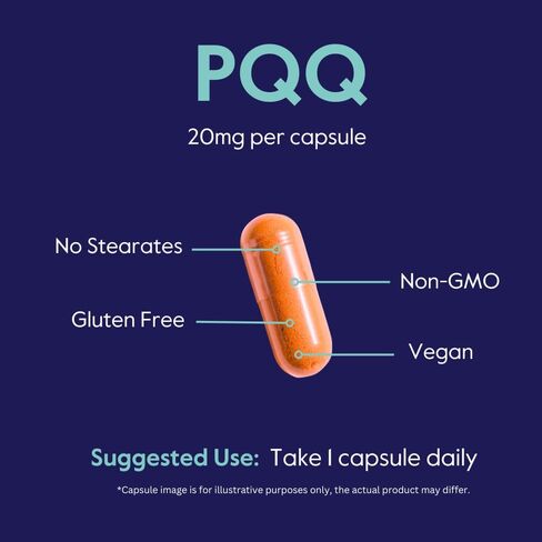 BESTVITE PQQ 20mg (Pyrroloquinoline Quinone) (120 كبسولة نباتية) - بدون ستيرات - نباتي - غير معدل وراثيًا - خالي من الغلوتين in Saudi Arabia